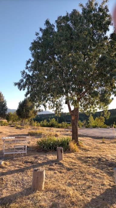 El Telar Arte Y Naturaleza Prádena Εξωτερικό φωτογραφία