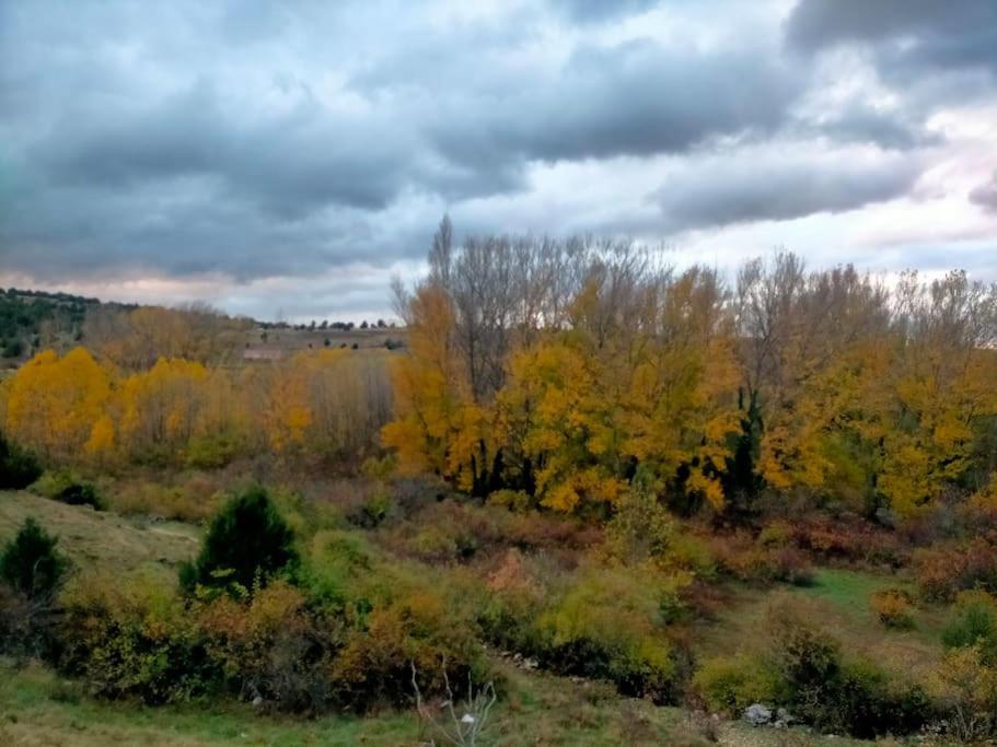 El Telar Arte Y Naturaleza Prádena Εξωτερικό φωτογραφία