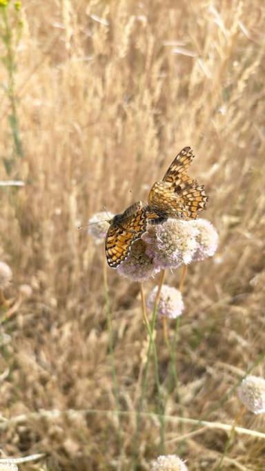 El Telar Arte Y Naturaleza Prádena Εξωτερικό φωτογραφία