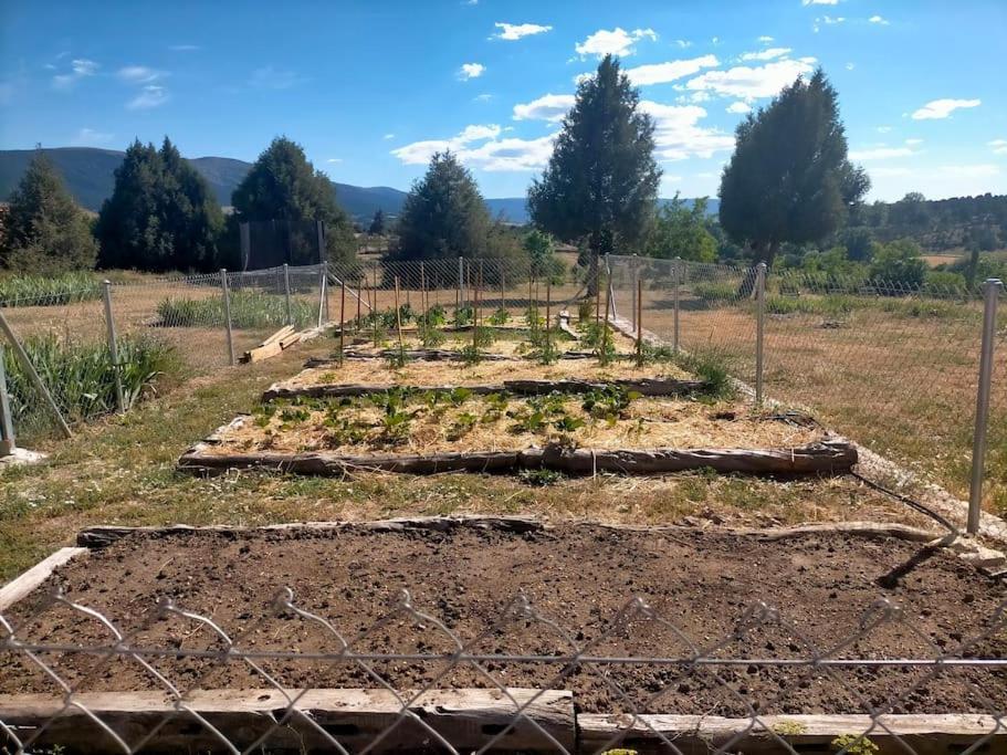 El Telar Arte Y Naturaleza Prádena Εξωτερικό φωτογραφία